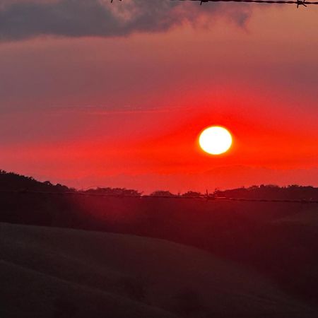 Dadirri House Minicasa Santa Elena Monteverde Zewnętrze zdjęcie