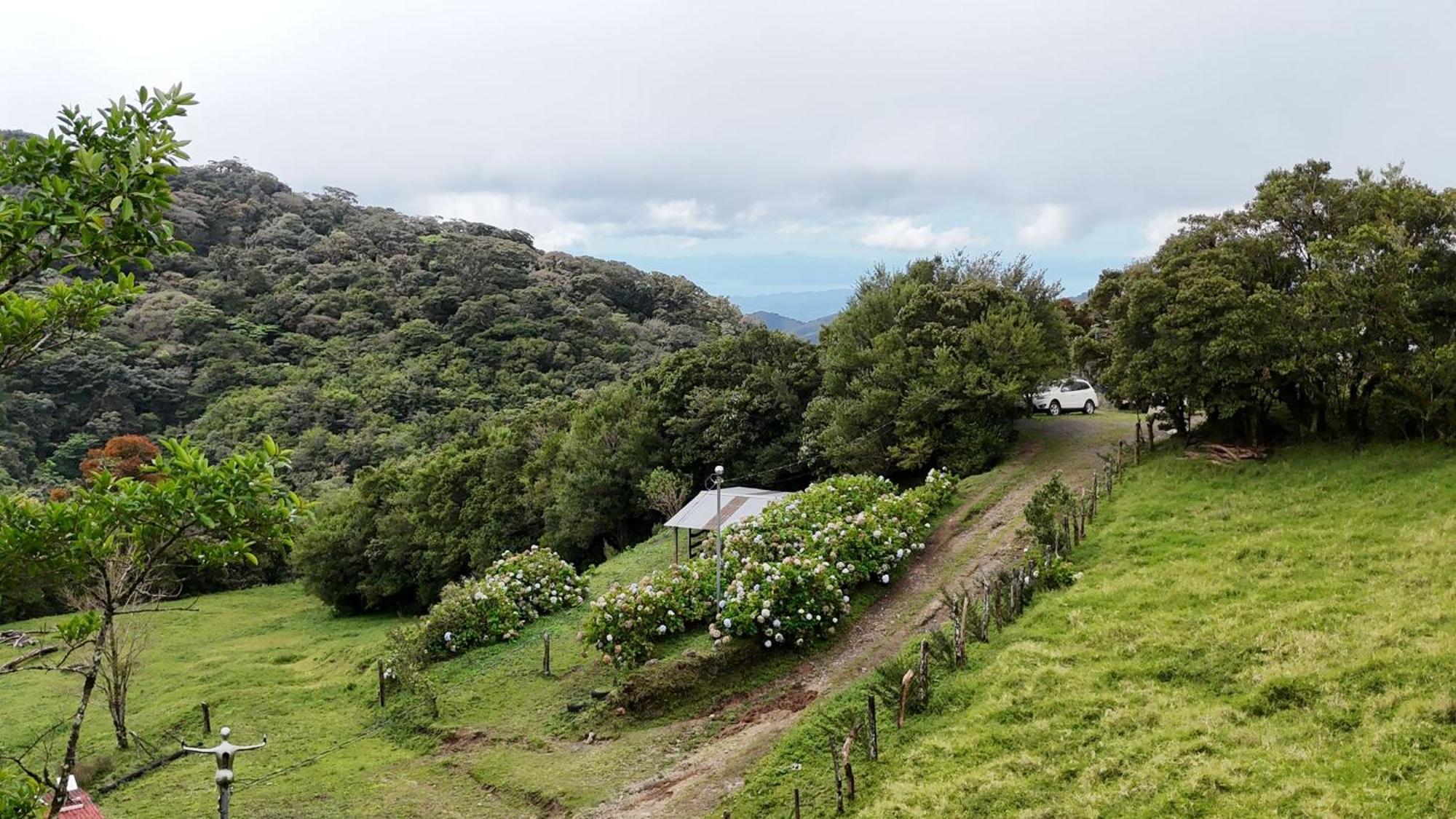 Dadirri House Minicasa Santa Elena Monteverde Zewnętrze zdjęcie