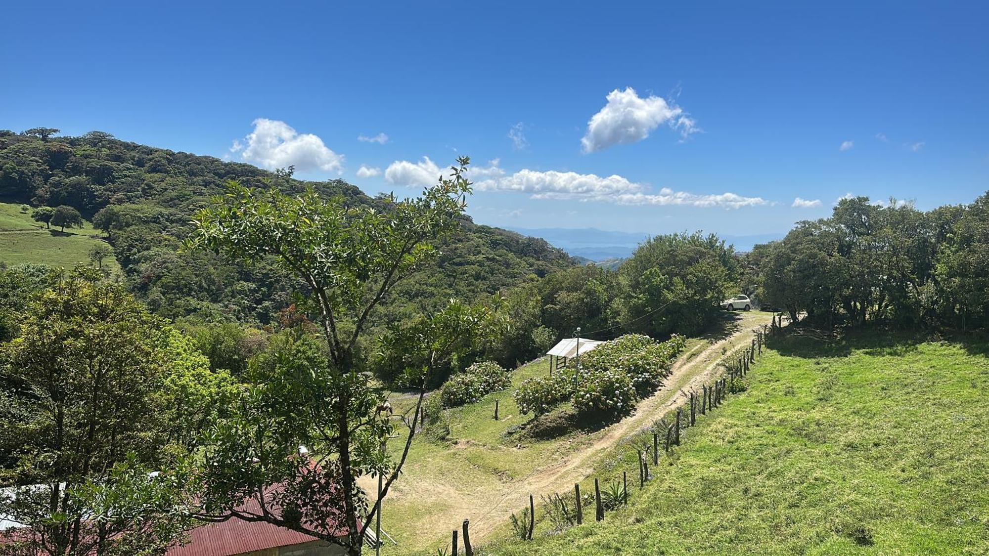 Dadirri House Minicasa Santa Elena Monteverde Zewnętrze zdjęcie